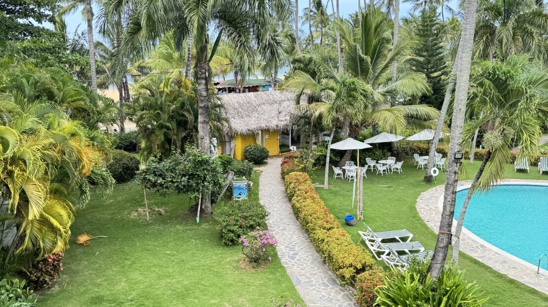 video image